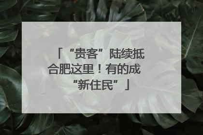 “贵客”陆续抵合肥这里！有的成“新住民”