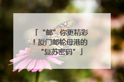 “邮”你更精彩！厦门邮轮母港的“复苏密码”