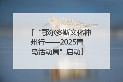 “鄂尔多斯文化神州行——2025青岛活动周”启动