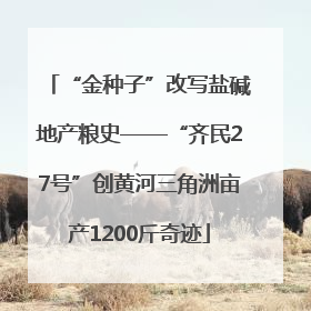 “金种子”改写盐碱地产粮史——“齐民27号”创黄河三角洲亩产1200斤奇迹