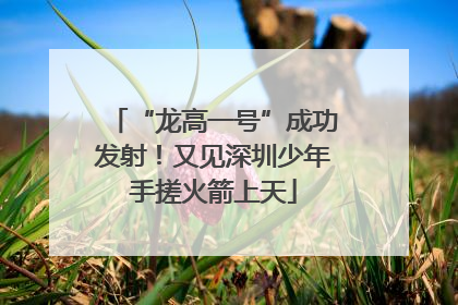 “龙高一号”成功发射！又见深圳少年手搓火箭上天