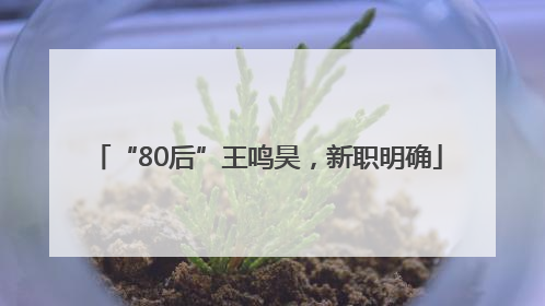 “80后”王鸣昊，新职明确