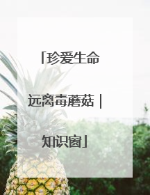珍爱生命 远离毒蘑菇｜知识窗