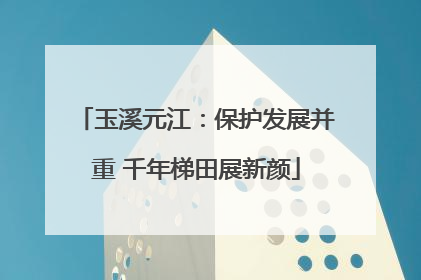 玉溪元江：保护发展并重 千年梯田展新颜