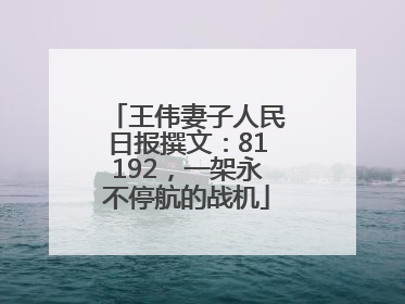 王伟妻子人民日报撰文：81192，一架永不停航的战机