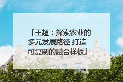 王超：探索农业的多元发展路径 打造可复制的融合样板