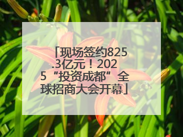 现场签约825.3亿元！2025“投资成都”全球招商大会开幕