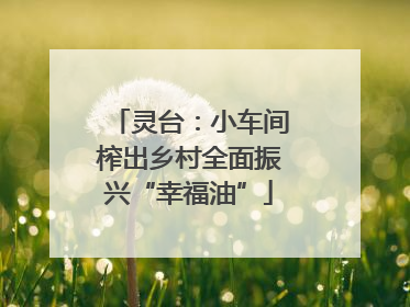 灵台：小车间榨出乡村全面振兴“幸福油”