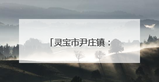 灵宝市尹庄镇：粽叶飘香贺端午，童心飞扬庆六一