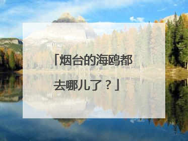 烟台的海鸥都去哪儿了？