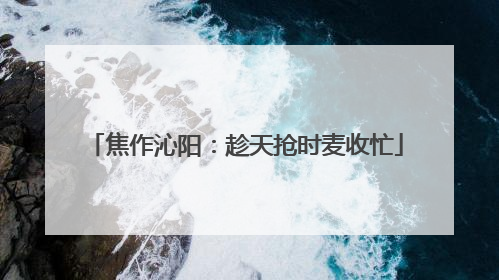 焦作沁阳：趁天抢时麦收忙