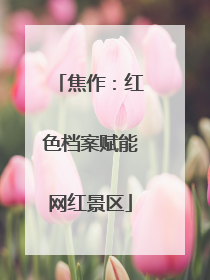 焦作：红色档案赋能网红景区