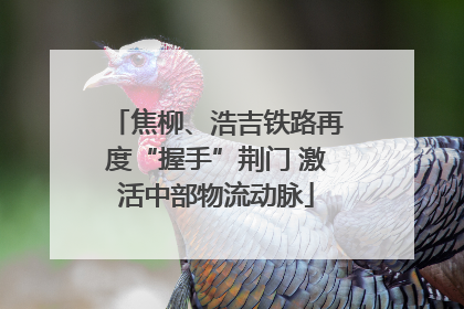 焦柳、浩吉铁路再度“握手”荆门 激活中部物流动脉