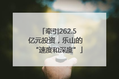 牵引262.5亿元投资，乐山的“速度和深度”
