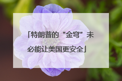 特朗普的“金穹”未必能让美国更安全