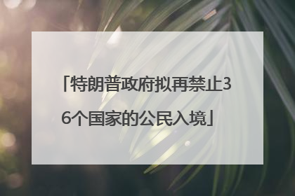特朗普政府拟再禁止36个国家的公民入境