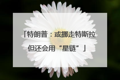特朗普：或挪走特斯拉 但还会用“星链”