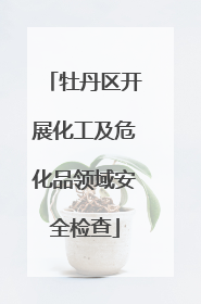 牡丹区开展化工及危化品领域安全检查