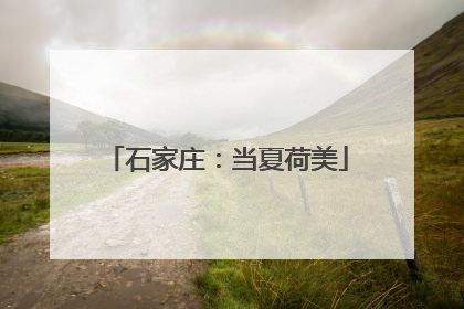 石家庄：当夏荷美