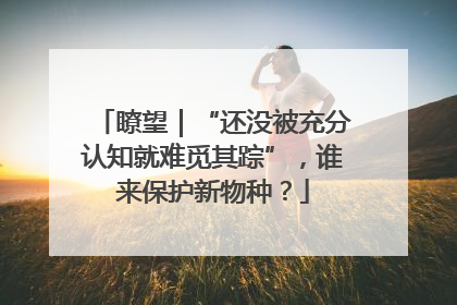 瞭望｜“还没被充分认知就难觅其踪”，谁来保护新物种？