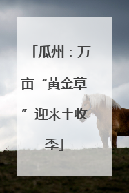 瓜州：万亩“黄金草”迎来丰收季