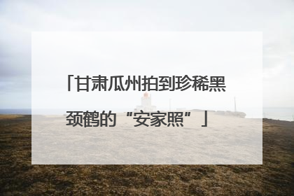 甘肃瓜州拍到珍稀黑颈鹤的“安家照”