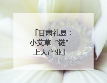 甘肃礼县：小艾草“链”上大产业