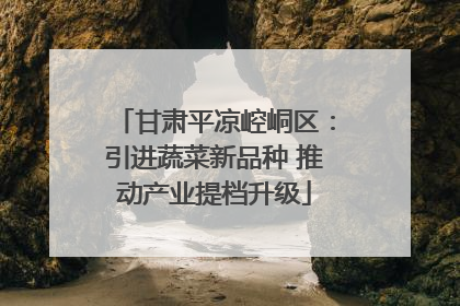 甘肃平凉崆峒区：引进蔬菜新品种 推动产业提档升级