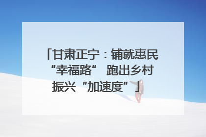 甘肃正宁：铺就惠民“幸福路” 跑出乡村振兴“加速度”