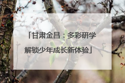甘肃金昌：多彩研学解锁少年成长新体验