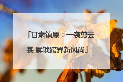 甘肃镇原：一袭剪云裳 解锁跨界新风尚