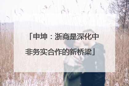 申坤：浙商是深化中非务实合作的新桥梁