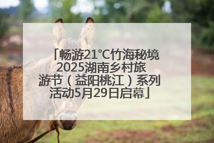 畅游21℃竹海秘境 2025湖南乡村旅游节（益阳桃江）系列活动5月29日启幕