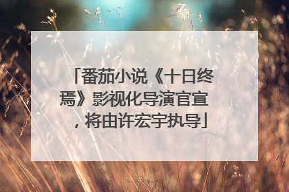 番茄小说《十日终焉》影视化导演官宣，将由许宏宇执导