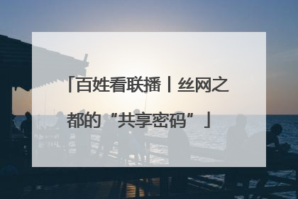 百姓看联播丨丝网之都的“共享密码”