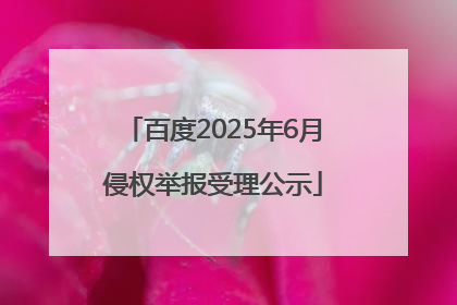 百度2025年6月侵权举报受理公示