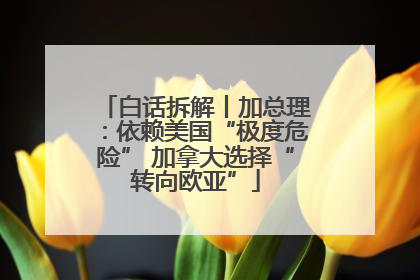 白话拆解丨加总理：依赖美国“极度危险” 加拿大选择“转向欧亚”