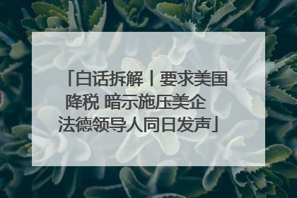 白话拆解丨要求美国降税 暗示施压美企 法德领导人同日发声