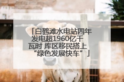 白鹤滩水电站四年发电超1960亿千瓦时 库区移民搭上“绿色发展快车”