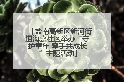 盐南高新区新河街道海嘉社区举办“守护童年 牵手共成长”主题活动