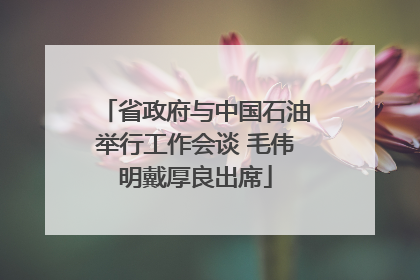 省政府与中国石油举行工作会谈 毛伟明戴厚良出席