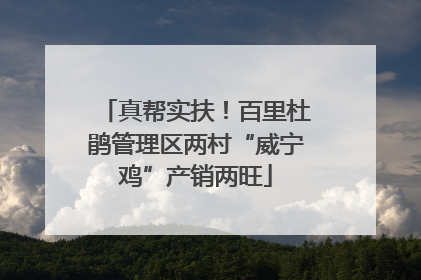 真帮实扶！百里杜鹃管理区两村“威宁鸡”产销两旺