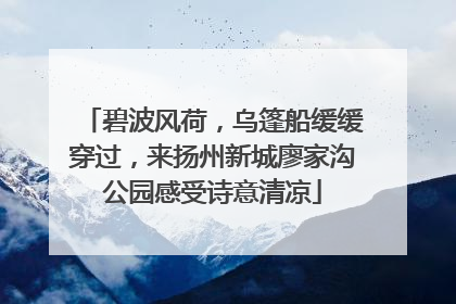 碧波风荷，乌篷船缓缓穿过，来扬州新城廖家沟公园感受诗意清凉