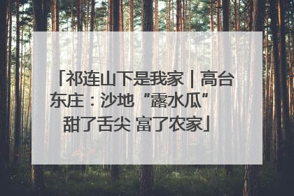 祁连山下是我家｜高台东庄：沙地“露水瓜” 甜了舌尖 富了农家