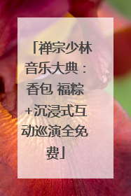 禅宗少林音乐大典：香包 福粽+沉浸式互动巡演全免费