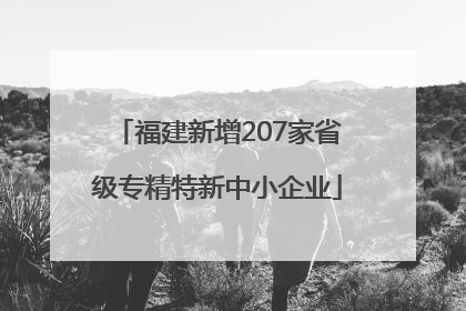 福建新增207家省级专精特新中小企业