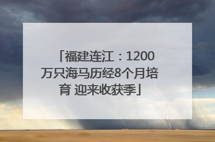 福建连江：1200万只海马历经8个月培育 迎来收获季