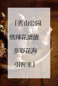 秀山公园绣球花盛放 多彩花海引客来