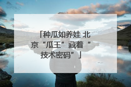 种瓜如养娃 北京“瓜王”藏着“技术密码”