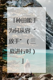 种田能手为何从容“放手”（三夏进行时）